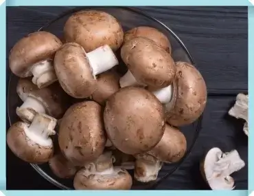 베타글루칸이 풍부한 버섯